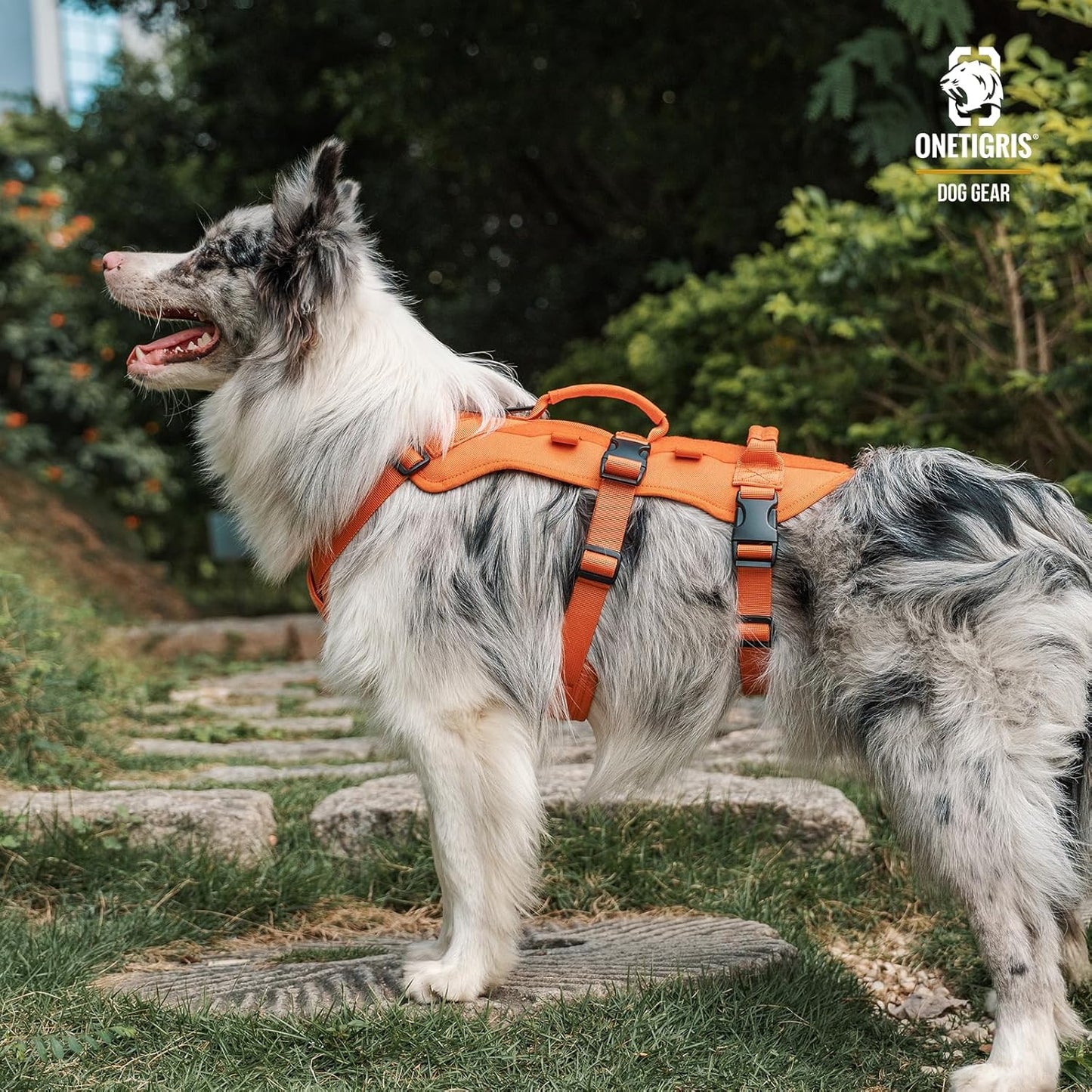 T-BONE Tactical Harness