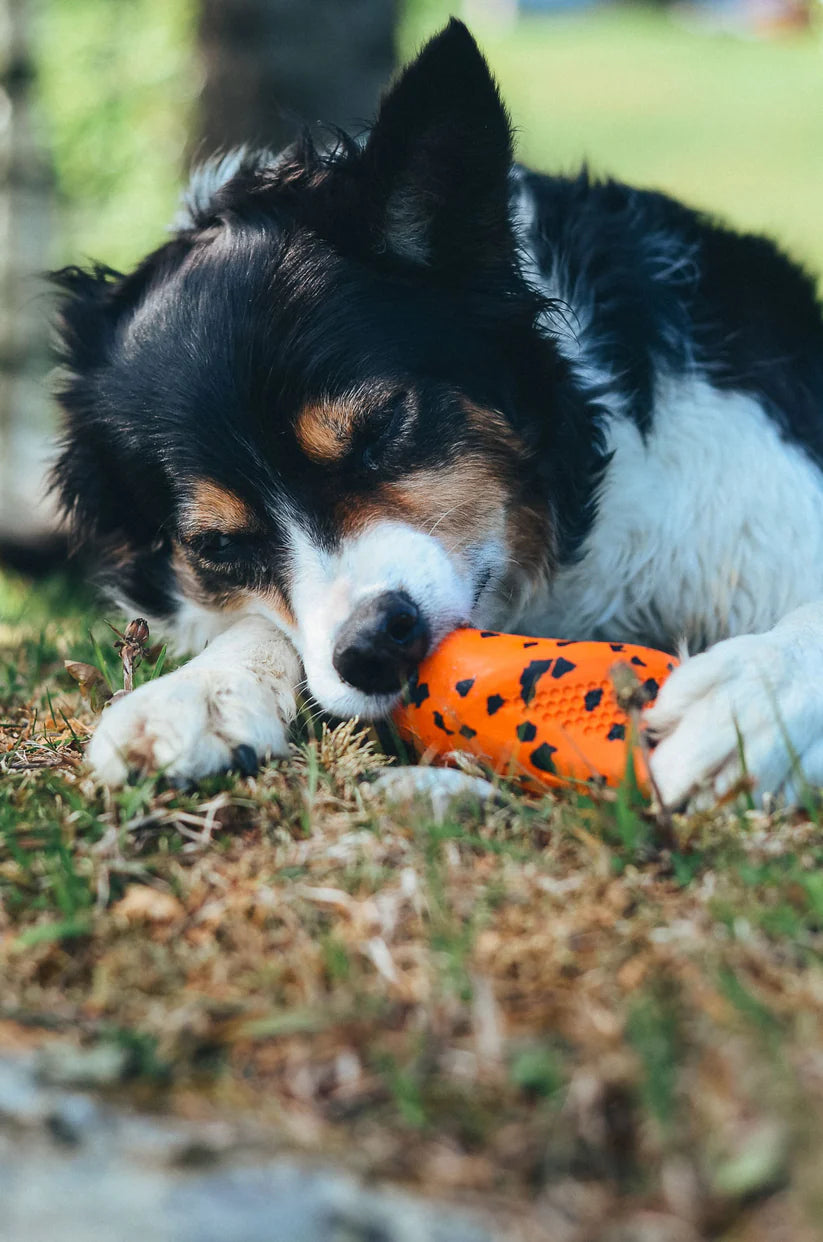 Dog throw toy