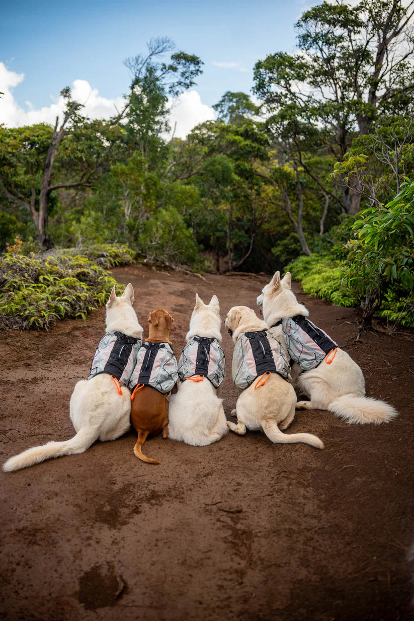 Trail light dog backpack