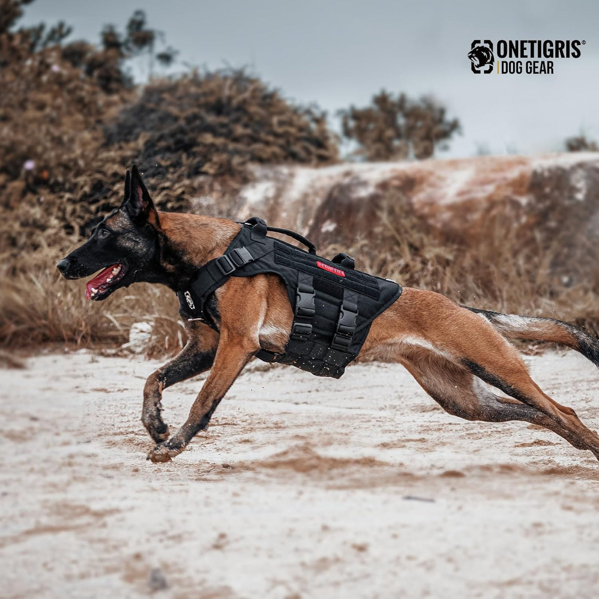 Pecheras o Arneses
