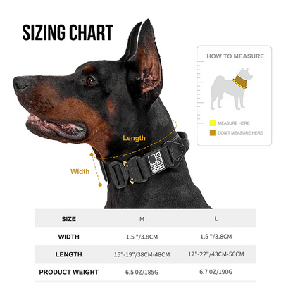 Cobra Buckle Dog Collar