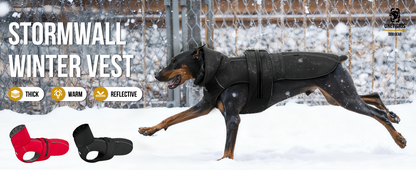 STORMWALL DOG WINTER COAT