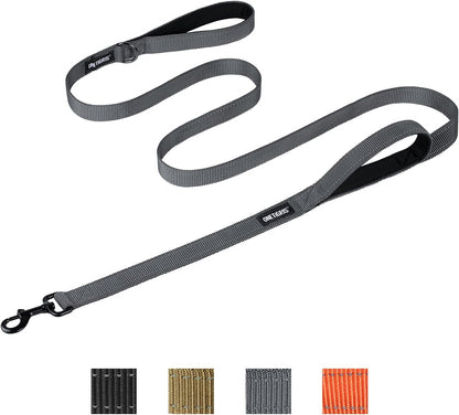 Dog Leash 16