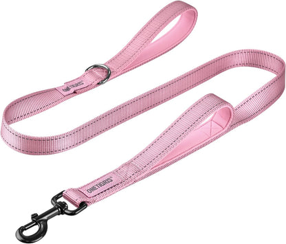 Dog Leash 16