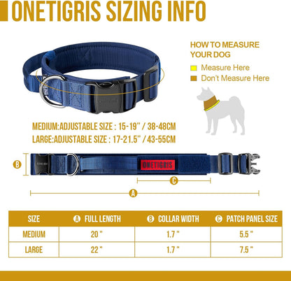 Dog Collar 08