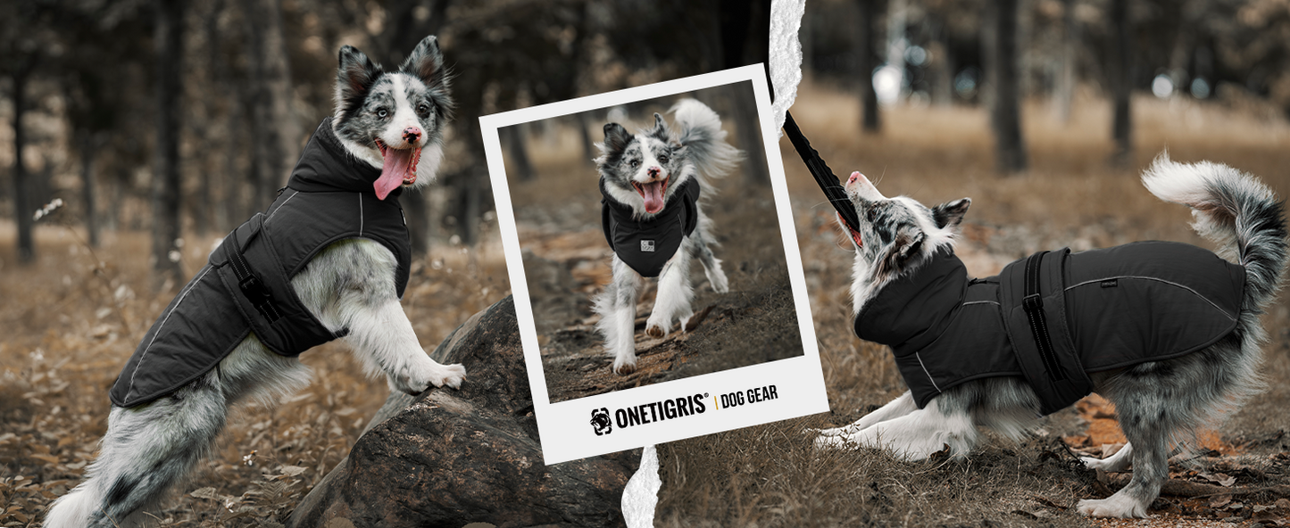 STORMWALL DOG WINTER COAT