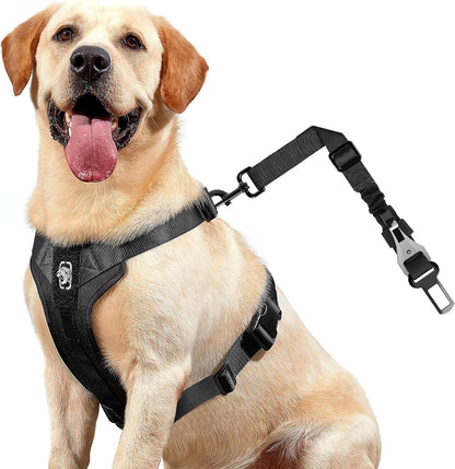 Rex Car Use Dog Harness