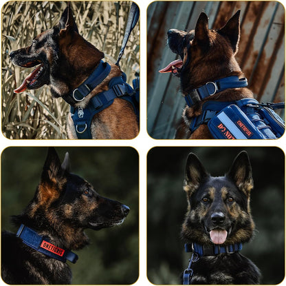 Dog Collar 08