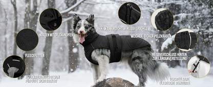 STORMWALL DOG WINTER COAT