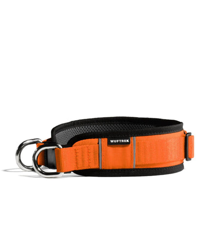 Collar MaxTrek