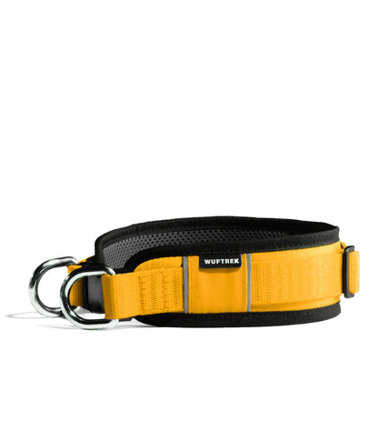 Collar MaxTrek