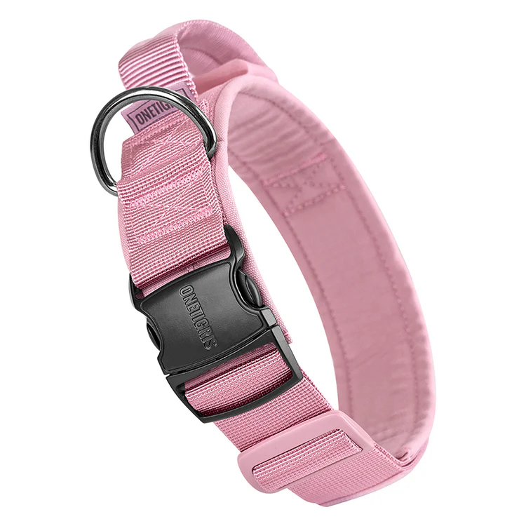Dog Collar 08