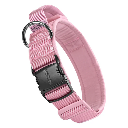 Dog Collar 08