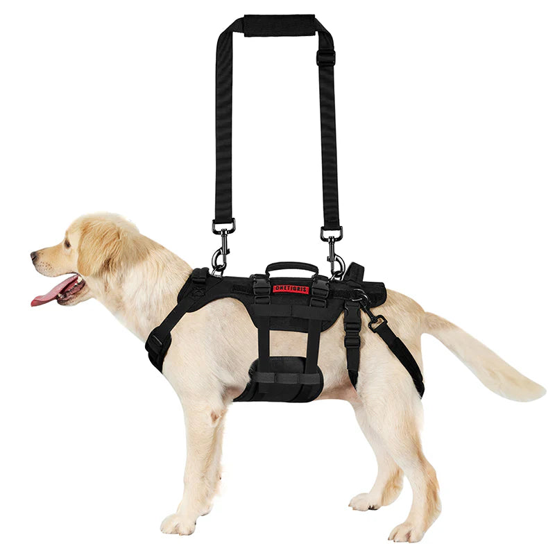 Invictus Full Body Lift Harness