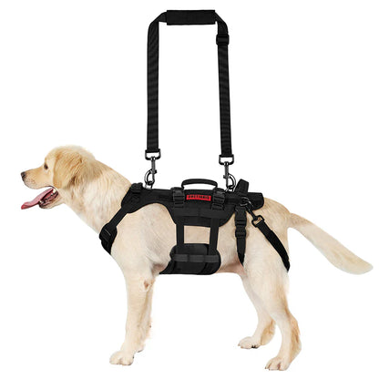 Invictus Full Body Lift Harness