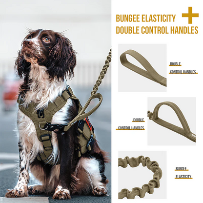 BUNGEE DOG LEASH 110