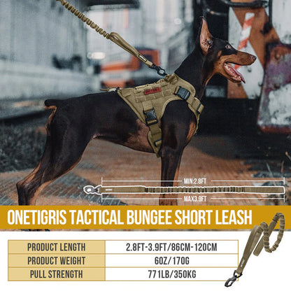 BUNGEE DOG LEASH 110