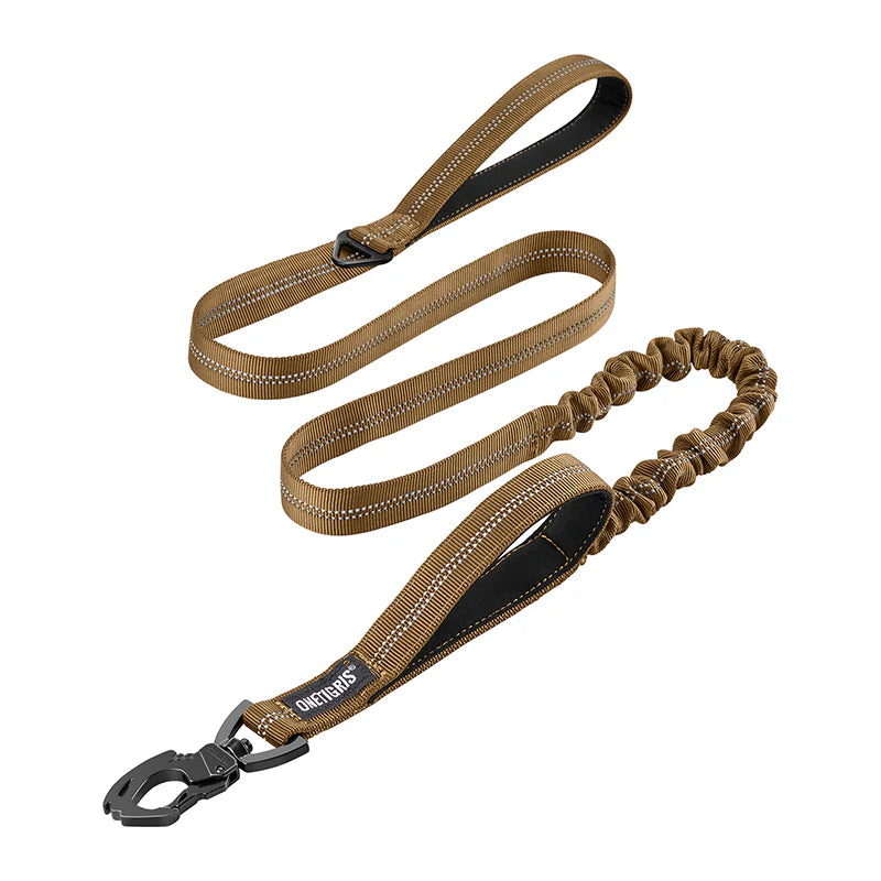 Dog leash 22