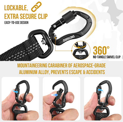 Carabiner Dog Leash 29