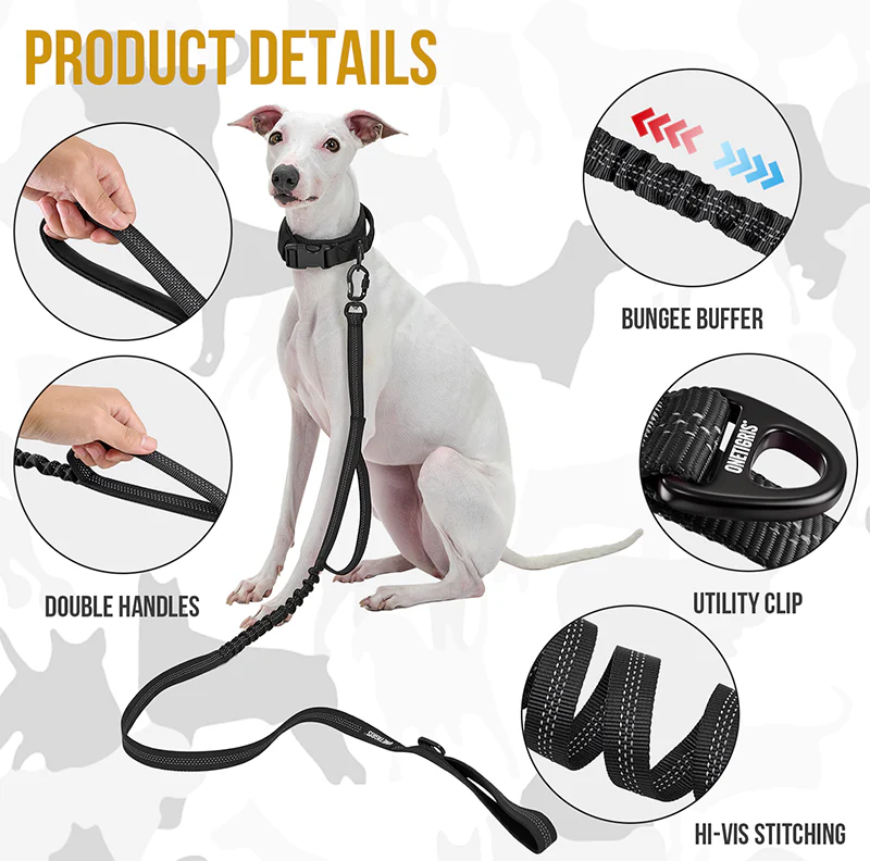Carabiner Dog Leash 29