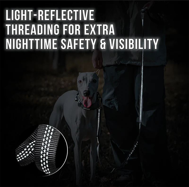 Carabiner Dog Leash 29