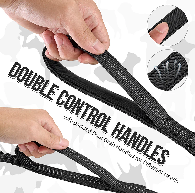 Carabiner Dog Leash 29