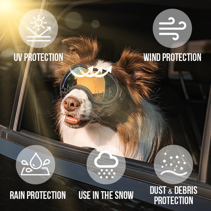 Dog Goggles