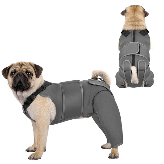 Pawrest Dog Recovery Suit