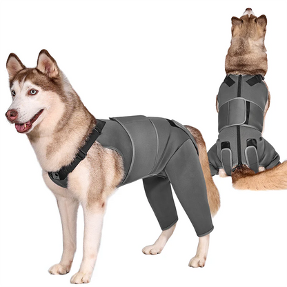 Pawrest Dog Recovery Suit