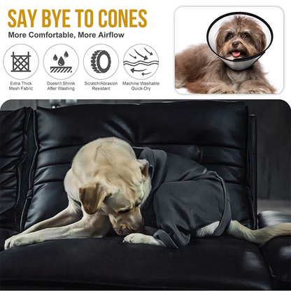 Pawrest Dog Recovery Suit