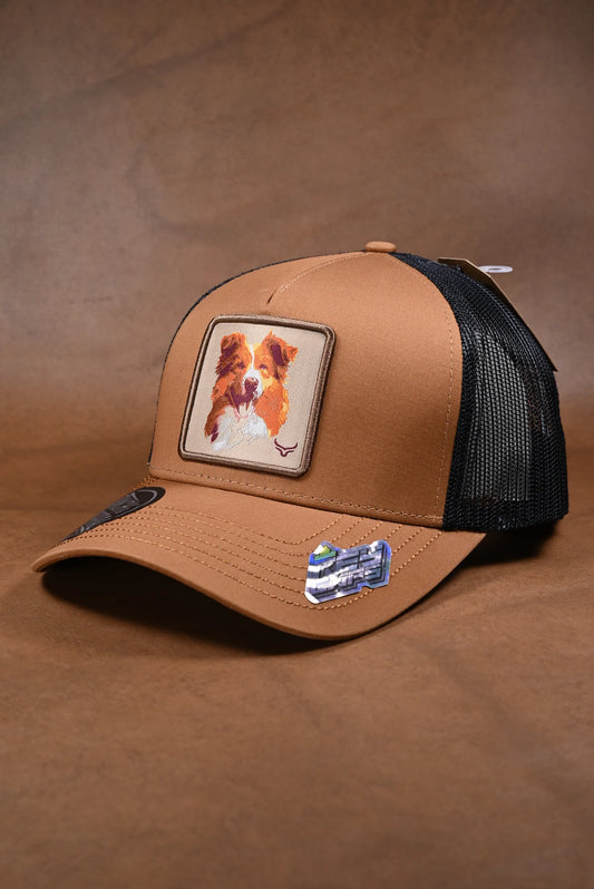 Gorra Ranch&Corral Border collie
