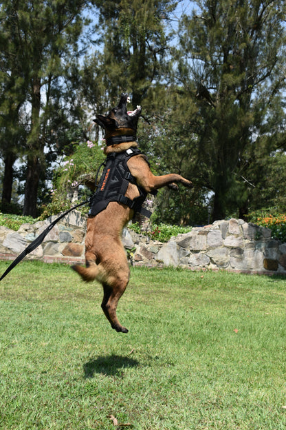 X Armor Tactical Dog Harness OneTigris
