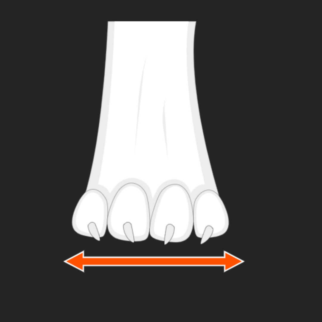Protector light socks high