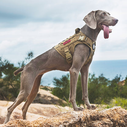 Fire Watcher Dog Harness 2.0 - Duraflex
