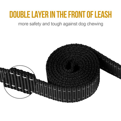 Dog Leash 16