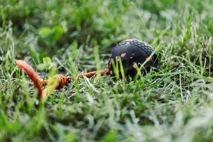 Dog ball on rope