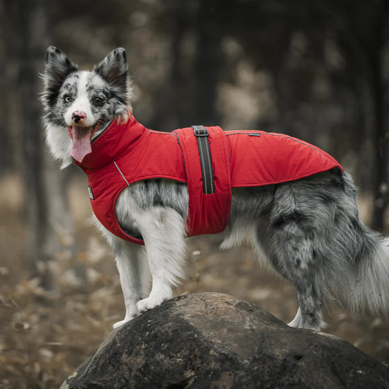 STORMWALL DOG WINTER COAT