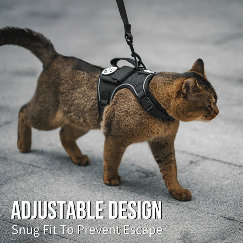 CATATRIX CAT HARNESS