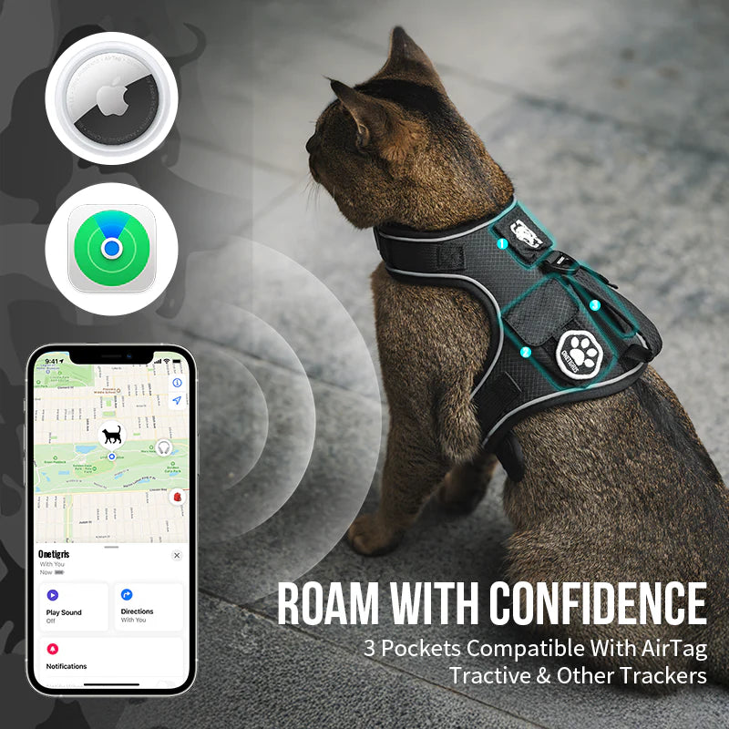 CATATRIX CAT HARNESS