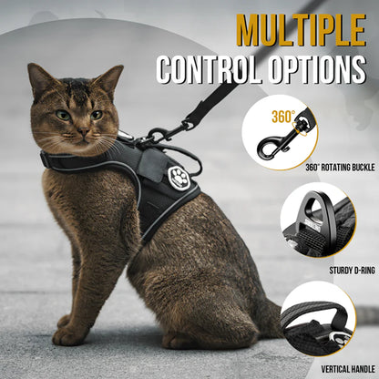 CATATRIX CAT HARNESS