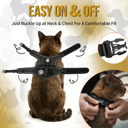 CATATRIX CAT HARNESS