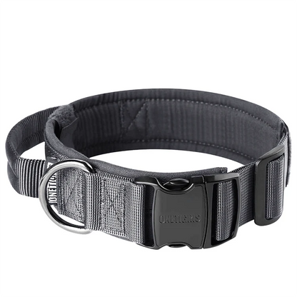 Dog Collar 08