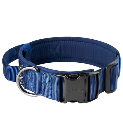 Dog Collar 08