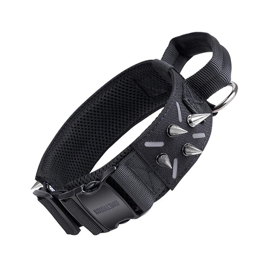 Spiked Dog Collar 13