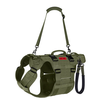 Invictus Full Body Lift Harness