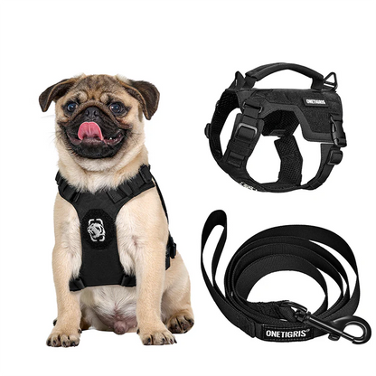 Mini Trooper dog harness