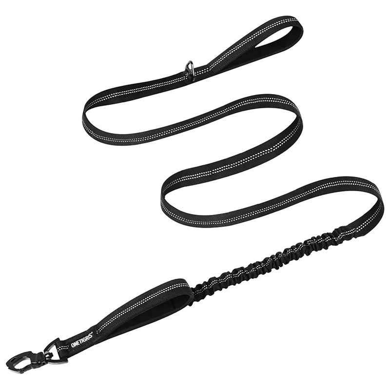 Dog leash 22