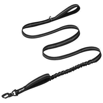 Dog leash 22