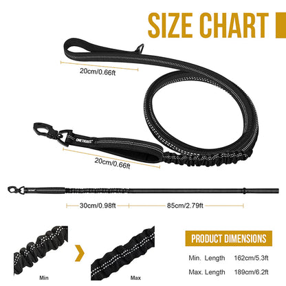 Dog leash 22