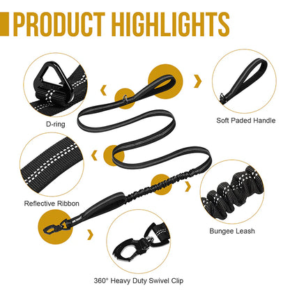 Dog leash 22